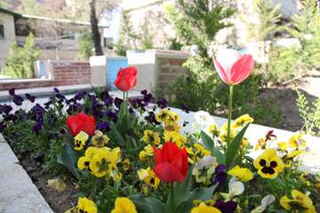 بهار دانشگاه 1399